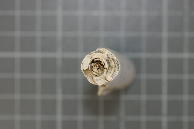 Candle fragment, showing fibrous wick in the centre